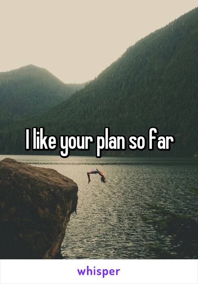 I like your plan so far