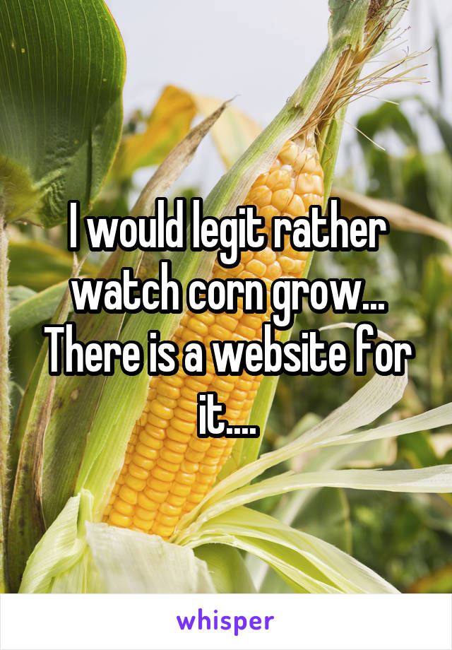 I would legit rather watch corn grow... There is a website for it....