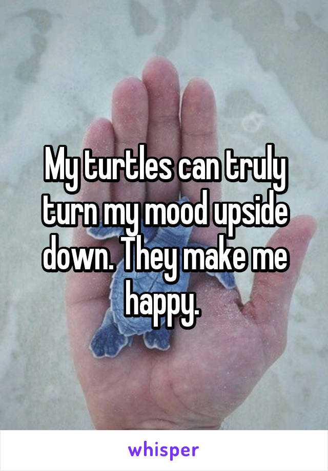 My turtles can truly turn my mood upside down. They make me happy. 