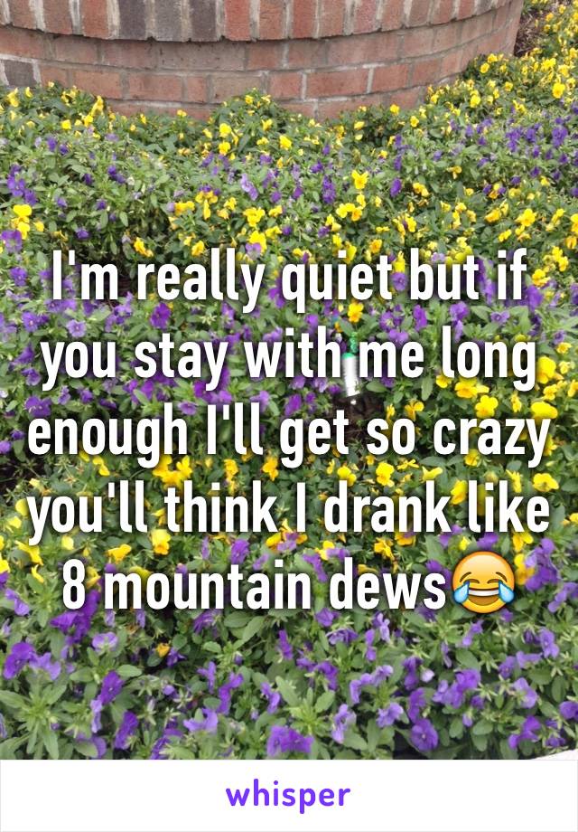 I'm really quiet but if you stay with me long enough I'll get so crazy you'll think I drank like 8 mountain dews😂