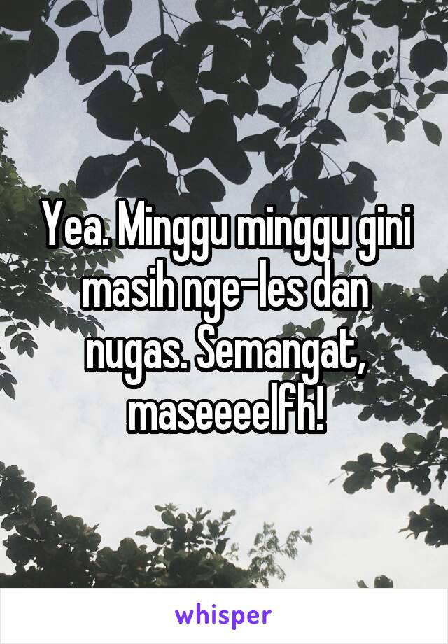 Yea. Minggu minggu gini masih nge-les dan nugas. Semangat, maseeeelfh!