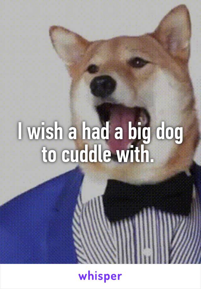 I wish a had a big dog to cuddle with. 