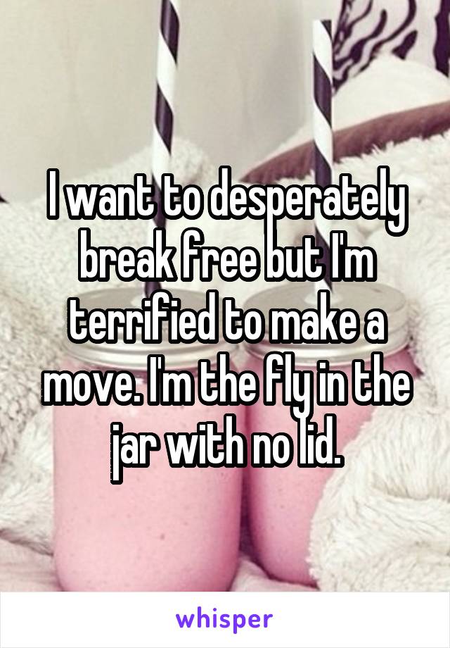 I want to desperately break free but I'm terrified to make a move. I'm the fly in the jar with no lid.