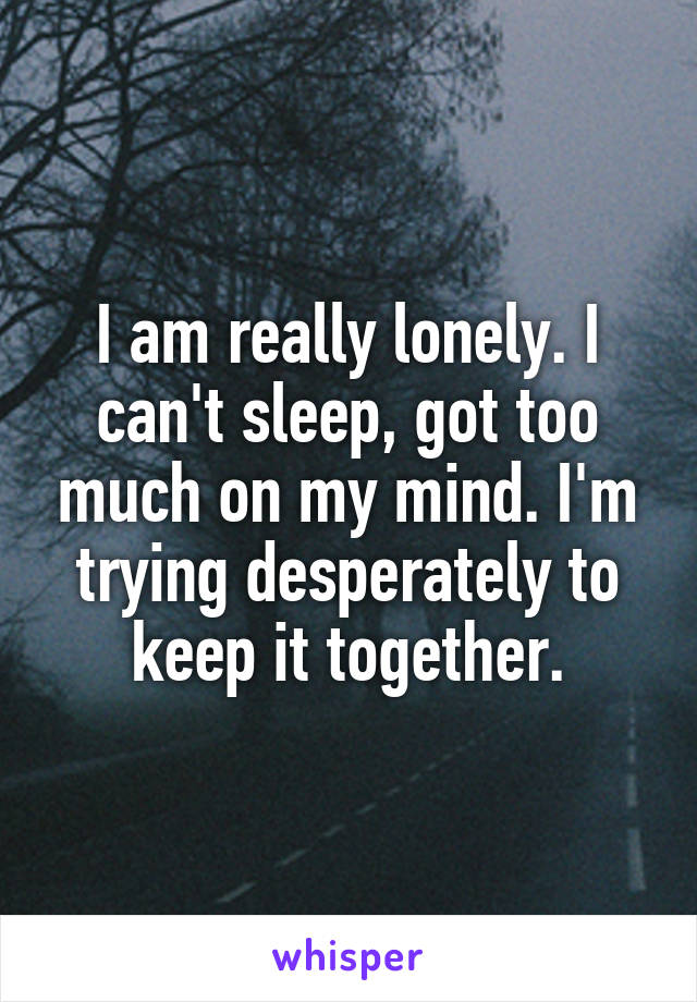 I am really lonely. I can't sleep, got too much on my mind. I'm trying desperately to keep it together.