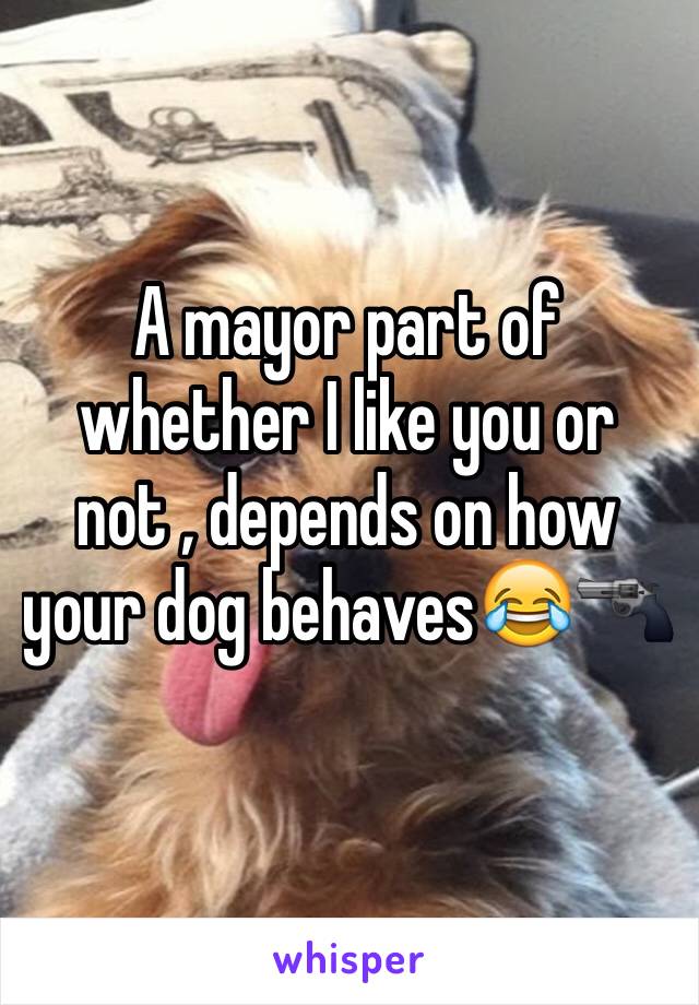 A mayor part of whether I like you or not , depends on how your dog behaves😂🔫