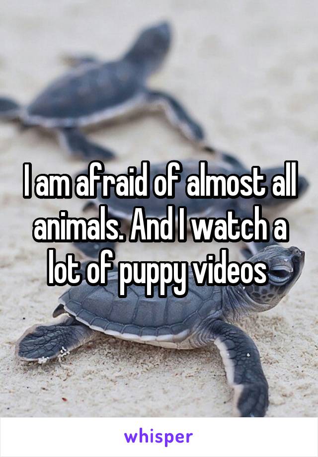 I am afraid of almost all animals. And I watch a lot of puppy videos 