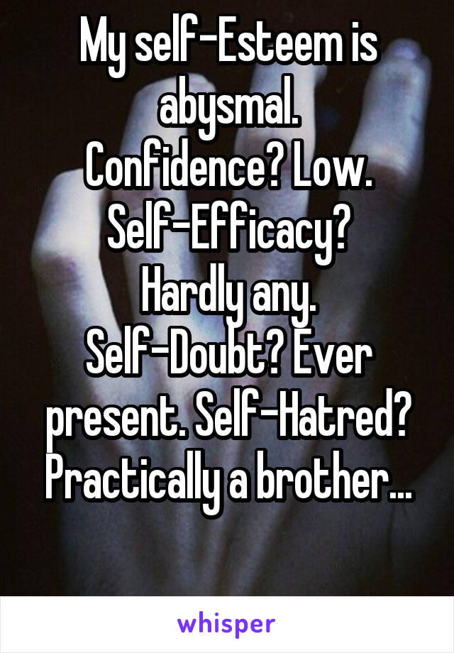 My self-Esteem is abysmal.
Confidence? Low.
Self-Efficacy?
Hardly any.
Self-Doubt? Ever present. Self-Hatred? Practically a brother...

