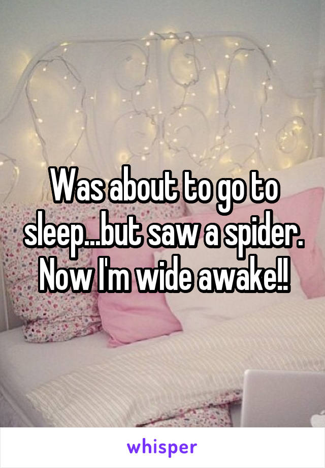 Was about to go to sleep...but saw a spider. Now I'm wide awake!!