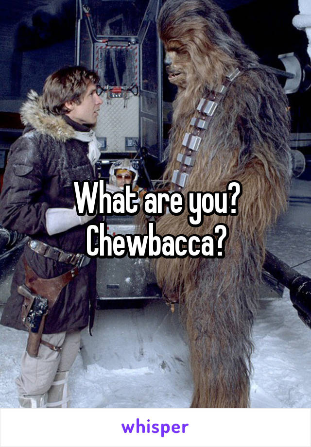 What are you? Chewbacca?