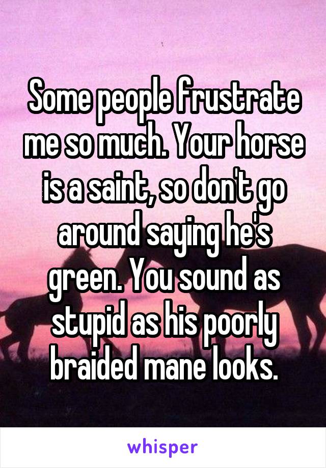 Some people frustrate me so much. Your horse is a saint, so don't go around saying he's green. You sound as stupid as his poorly braided mane looks.