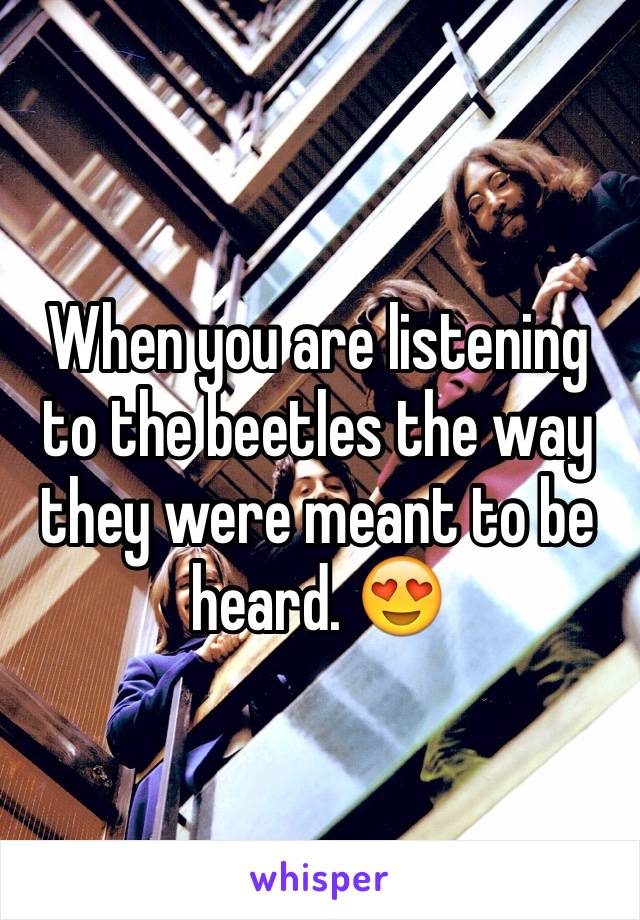 When you are listening to the beetles the way they were meant to be heard. 😍