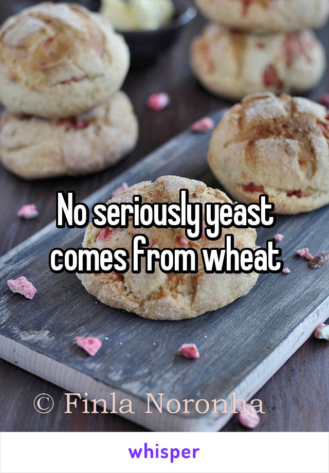 No seriously yeast comes from wheat