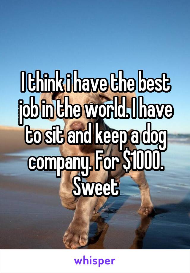 I think i have the best job in the world. I have to sit and keep a dog company. For $1000. Sweet