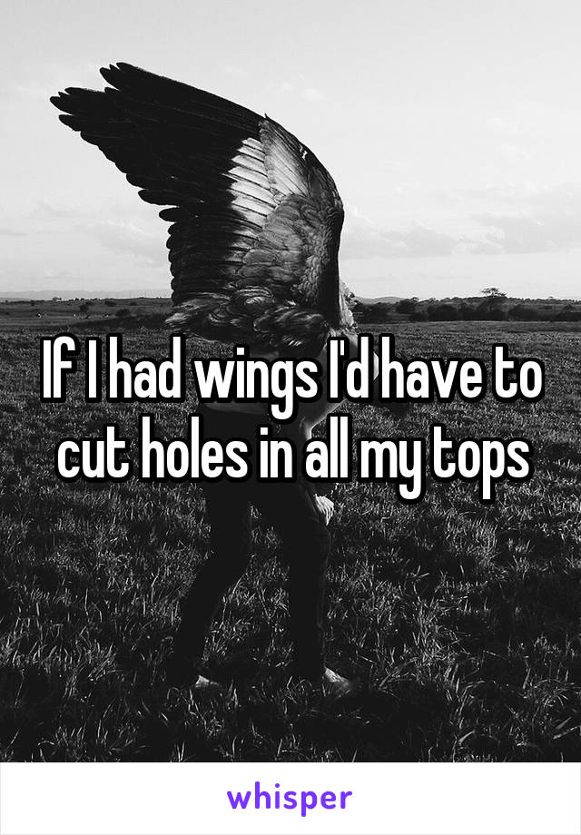 If I had wings I'd have to cut holes in all my tops