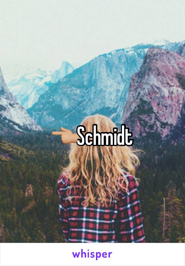 👈🏼Schmidt 