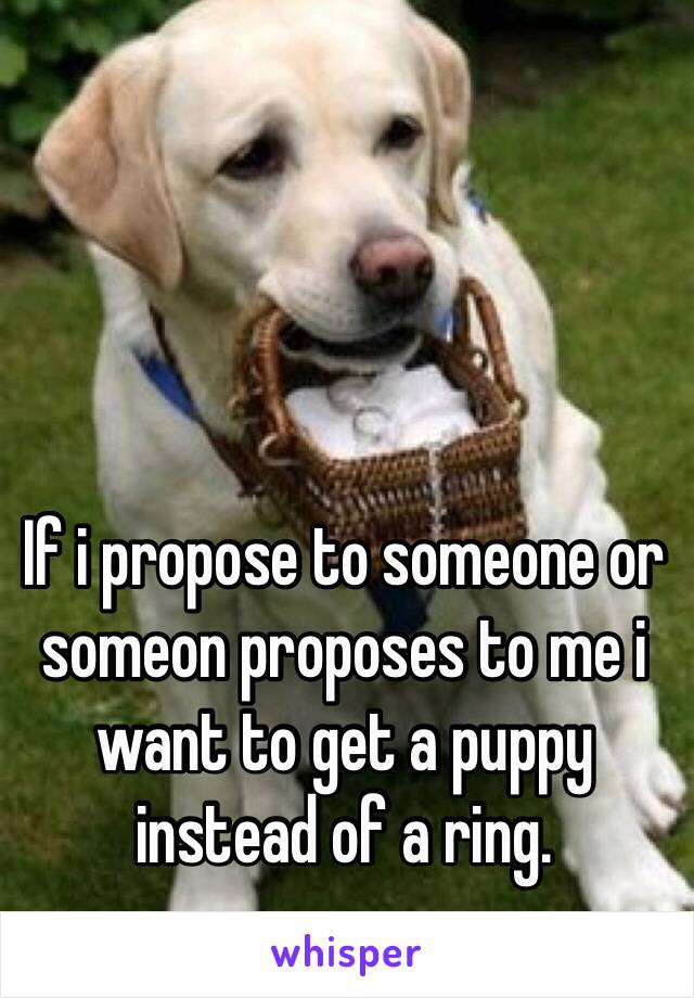 If i propose to someone or someon proposes to me i want to get a puppy instead of a ring.