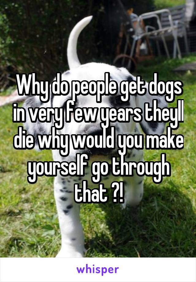 Why do people get dogs in very few years theyll die why would you make yourself go through that ?!