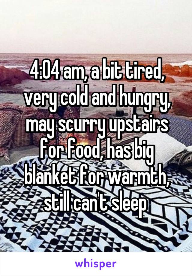 4:O4 am, a bit tired, very cold and hungry, may scurry upstairs for food, has big blanket for warmth, still can't sleep 