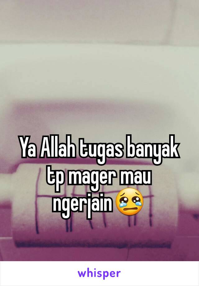 Ya Allah tugas banyak tp mager mau ngerjain😢