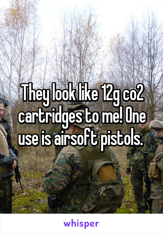 They look like 12g co2 cartridges to me! One use is airsoft pistols. 