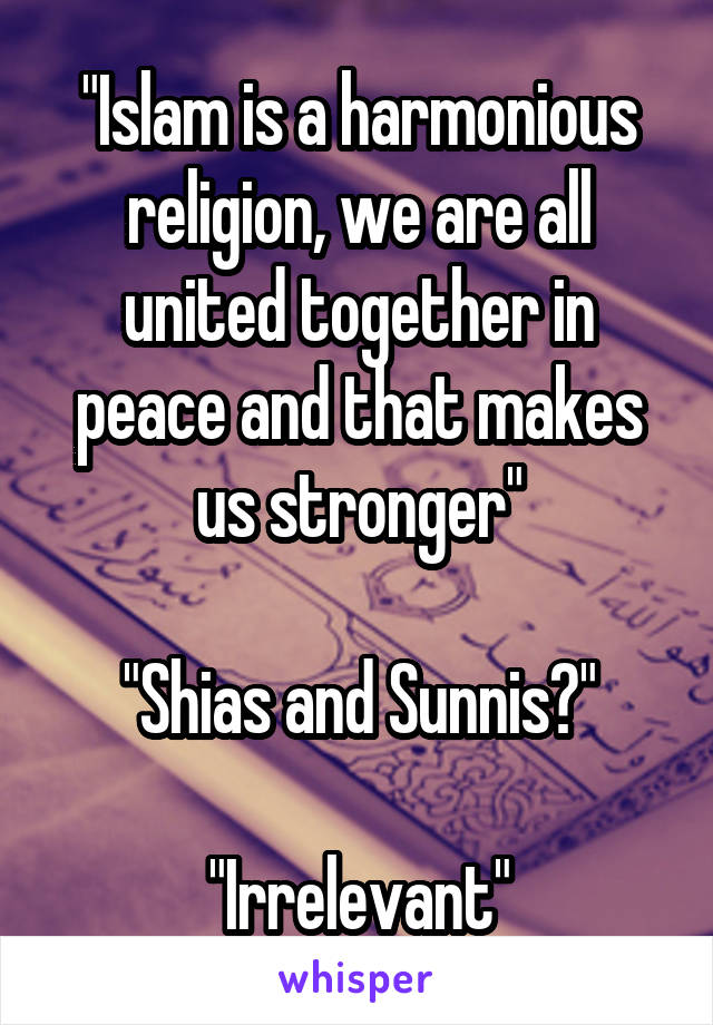 "Islam is a harmonious religion, we are all united together in peace and that makes us stronger"

"Shias and Sunnis?"

"Irrelevant"