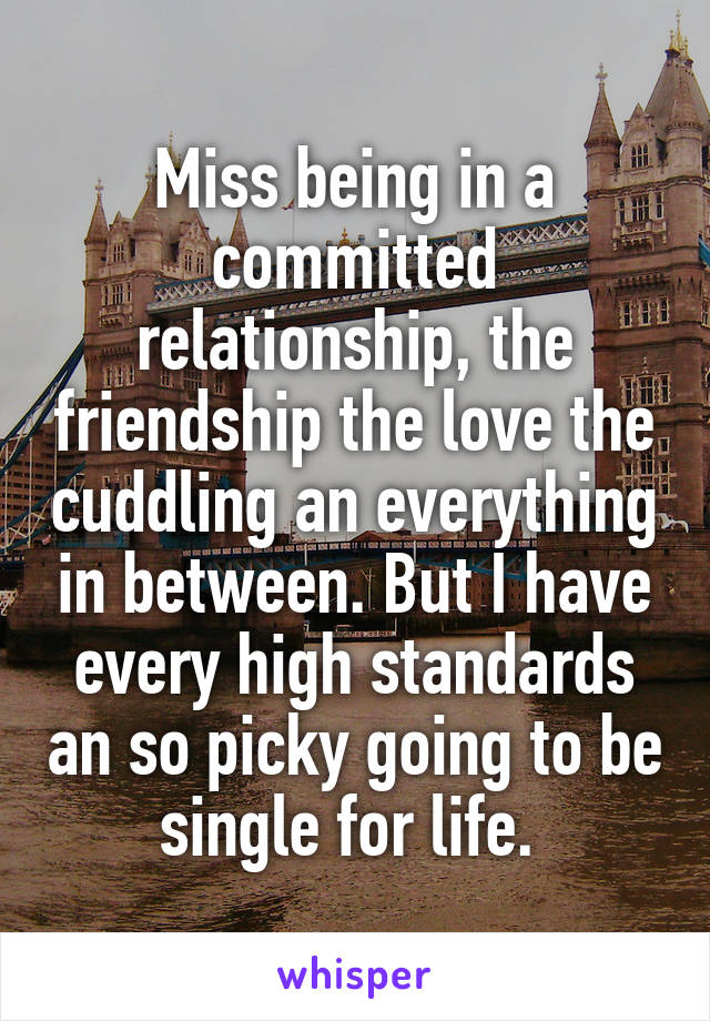 Miss being in a committed relationship, the friendship the love the cuddling an everything in between. But I have every high standards an so picky going to be single for life. 