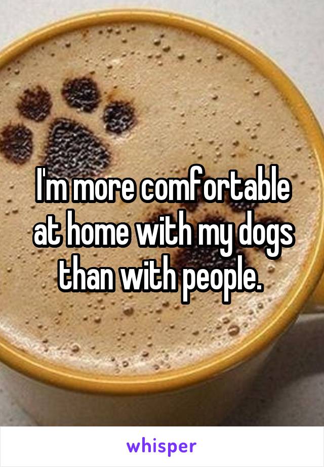 I'm more comfortable at home with my dogs than with people. 