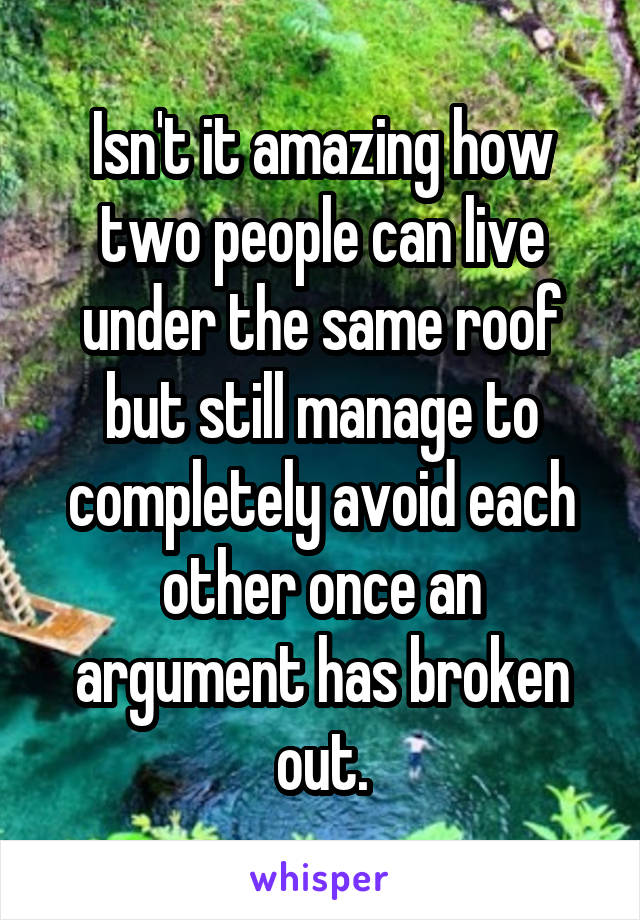 Isn't it amazing how two people can live under the same roof but still manage to completely avoid each other once an argument has broken out.