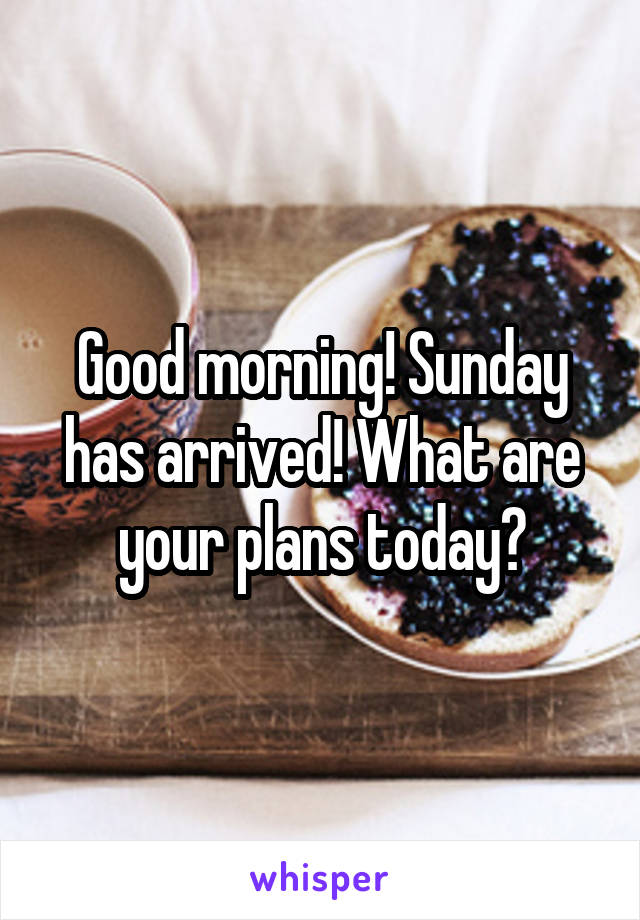 Good morning! Sunday has arrived! What are your plans today?