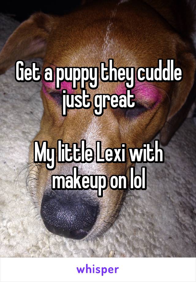 Get a puppy they cuddle just great

My little Lexi with makeup on lol
