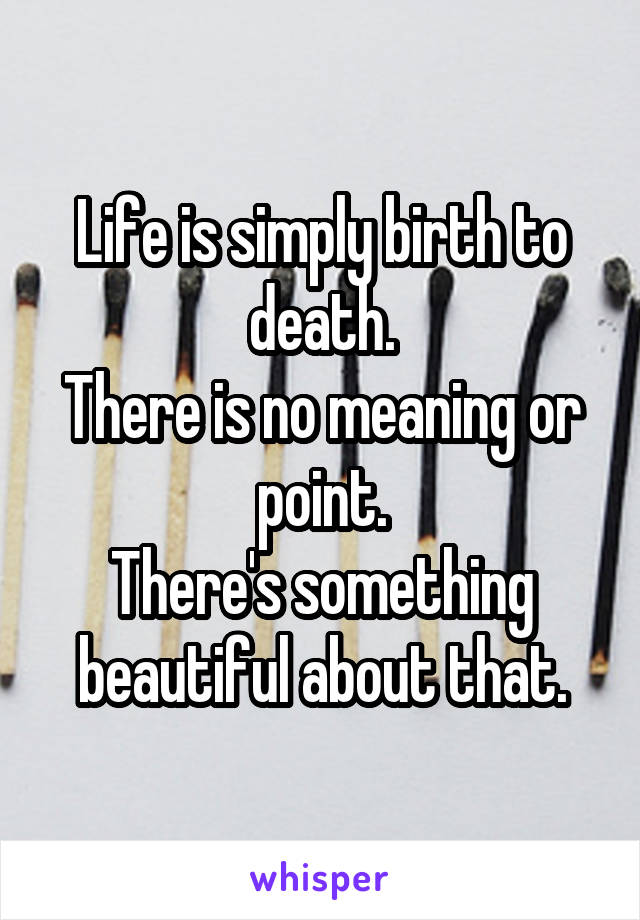 Life is simply birth to death.
There is no meaning or point.
There's something beautiful about that.