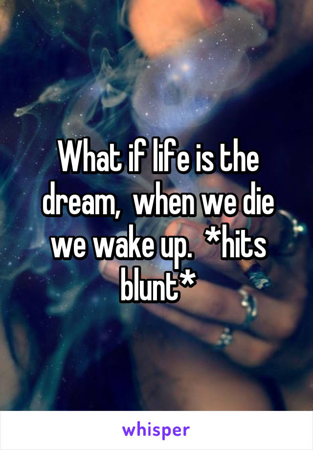 What if life is the dream,  when we die we wake up.  *hits blunt*