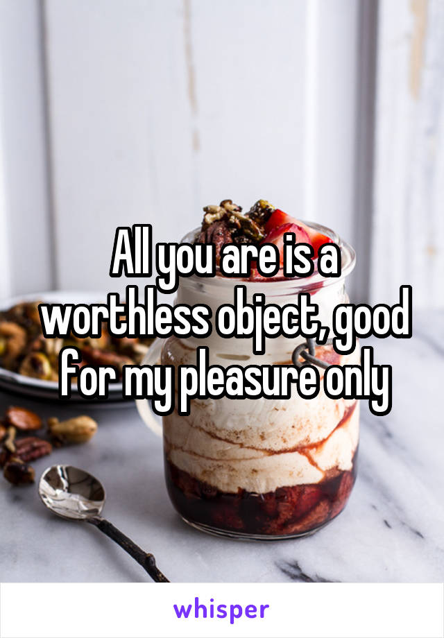 All you are is a worthless object, good for my pleasure only