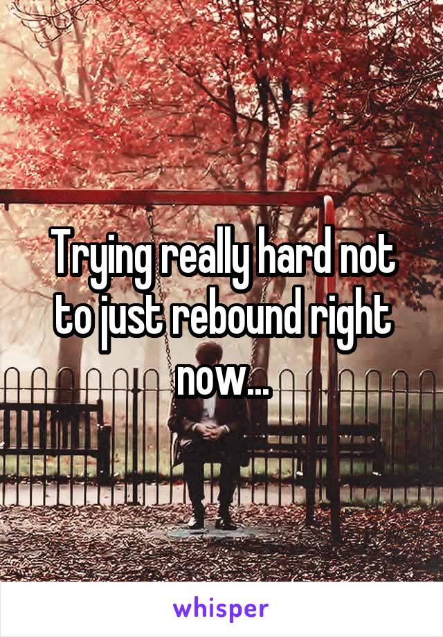 Trying really hard not to just rebound right now...