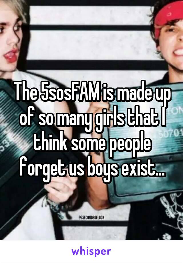 The 5sosFAM is made up of so many girls that I think some people forget us boys exist...