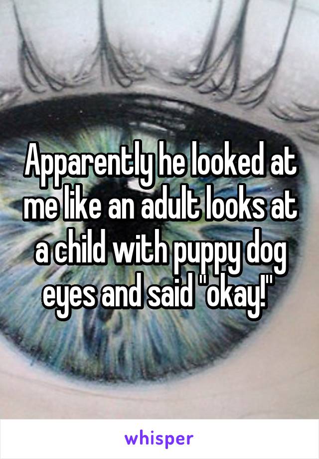 Apparently he looked at me like an adult looks at a child with puppy dog eyes and said "okay!" 