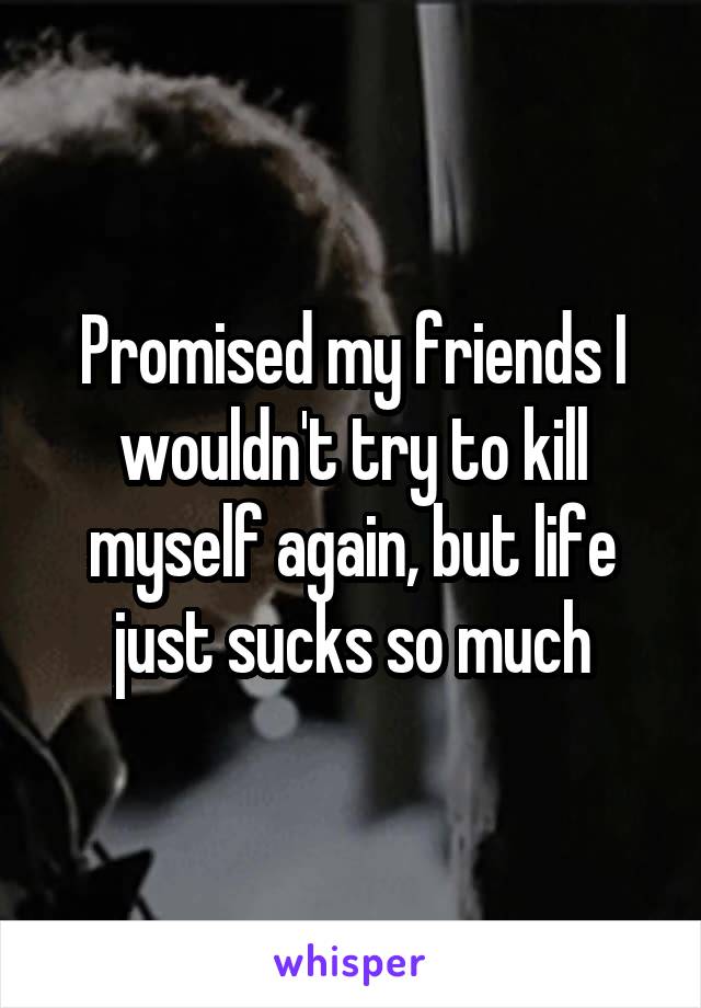 Promised my friends I wouldn't try to kill myself again, but life just sucks so much