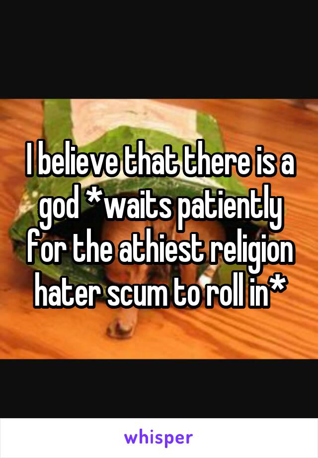 I believe that there is a god *waits patiently for the athiest religion hater scum to roll in*