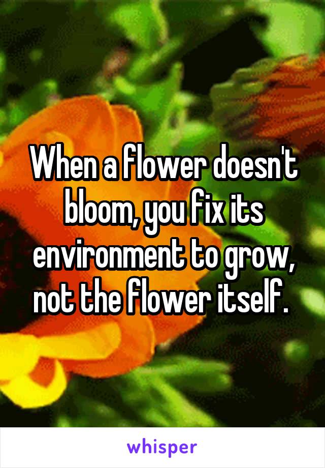 When a flower doesn't bloom, you fix its environment to grow, not the flower itself. 