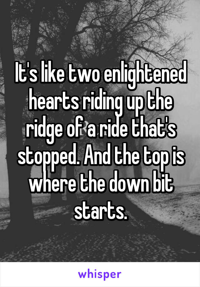 It's like two enlightened hearts riding up the ridge of a ride that's stopped. And the top is where the down bit starts.