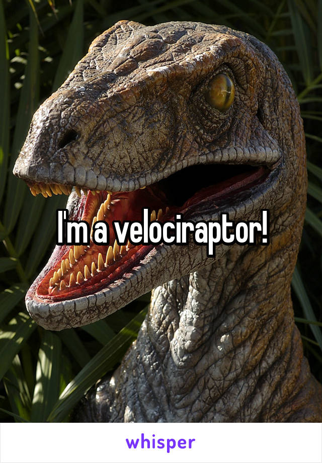 I'm a velociraptor!