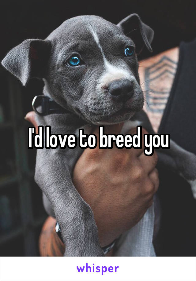 I'd love to breed you