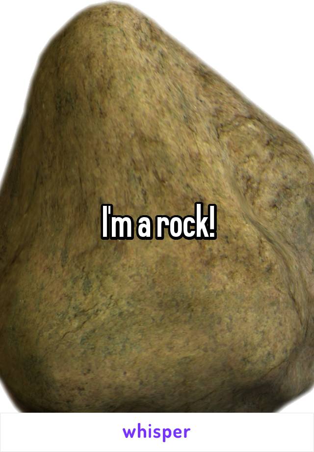 I'm a rock!