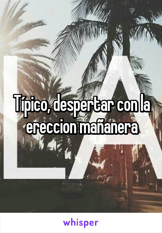 Típico, despertar con la ereccion mañanera