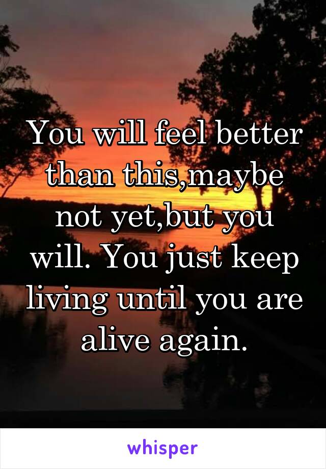 You will feel better than this,maybe not yet,but you will. You just keep living until you are alive again.