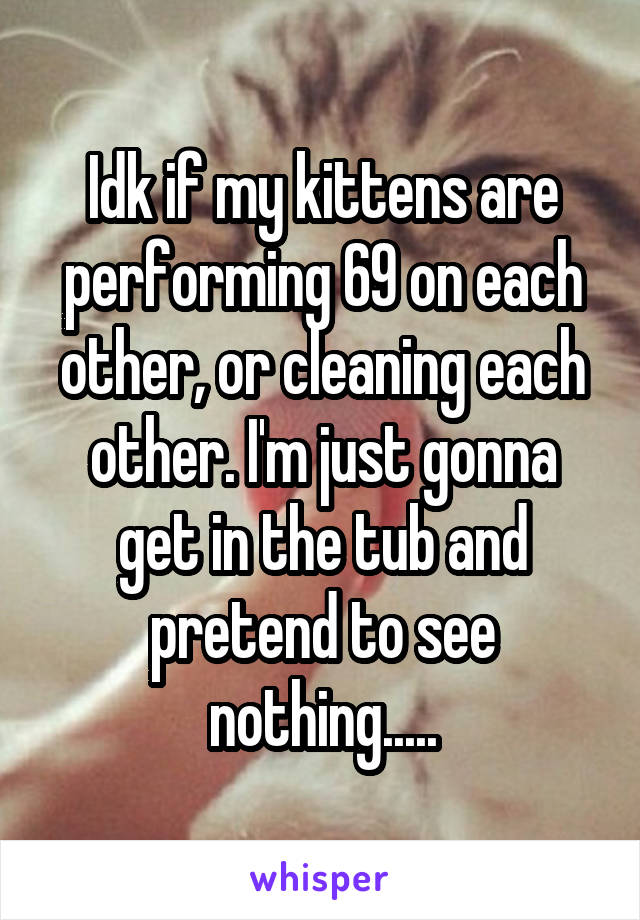 Idk if my kittens are performing 69 on each other, or cleaning each other. I'm just gonna get in the tub and pretend to see nothing.....