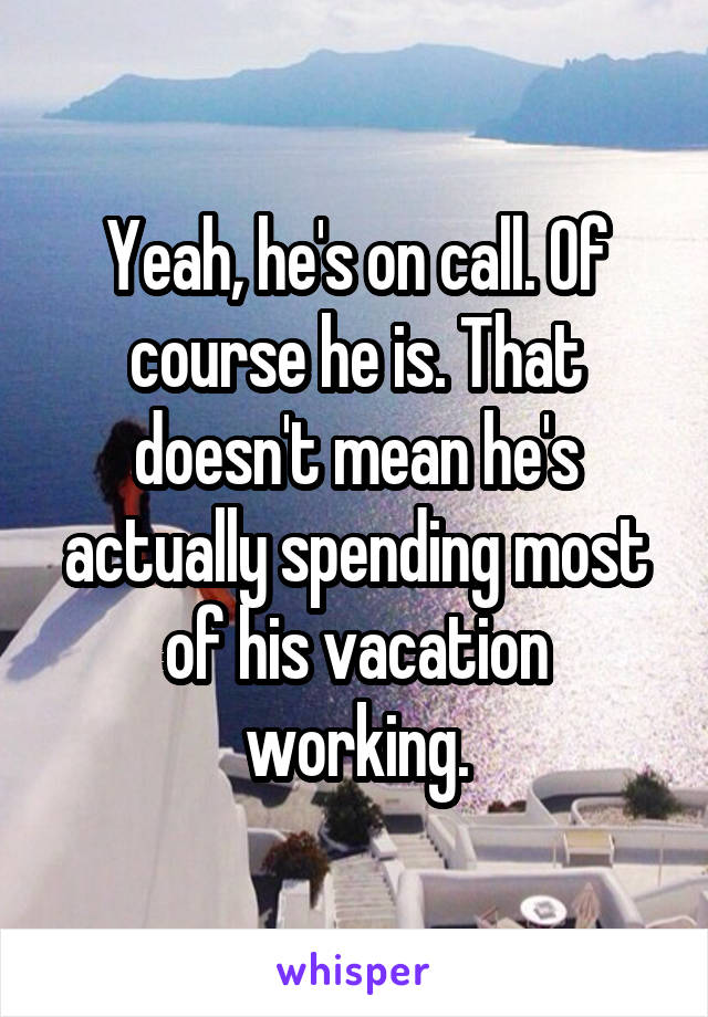 Yeah, he's on call. Of course he is. That doesn't mean he's actually spending most of his vacation working.