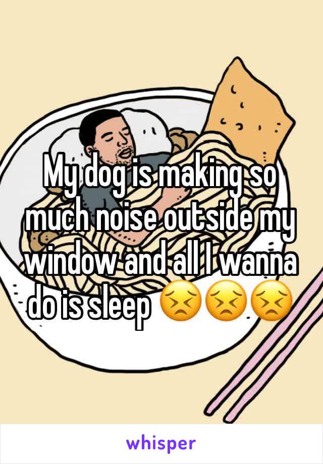 My dog is making so much noise outside my window and all I wanna do is sleep 😣😣😣