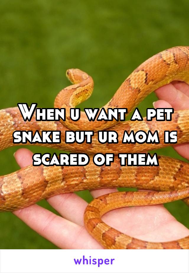 When u want a pet snake but ur mom is scared of them