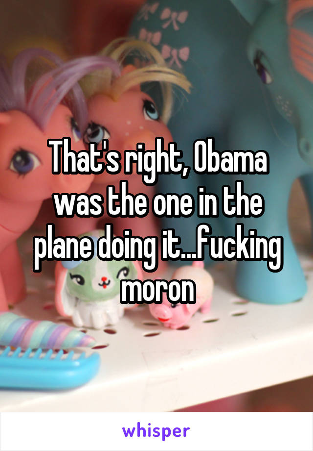 That's right, Obama was the one in the plane doing it...fucking moron